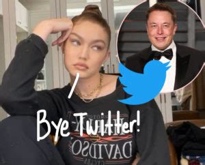 gigi twitter|Gigi Hadid Quits Elon Musks Twitter: Cesspool of。